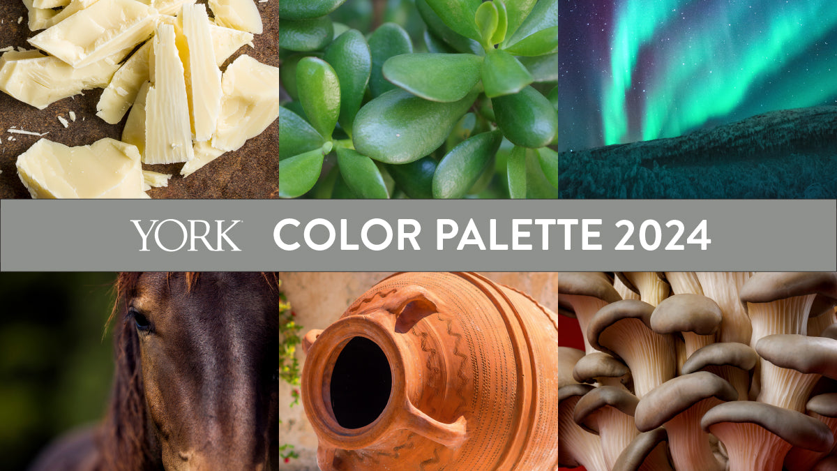 York's Color Palette of the Year 2024