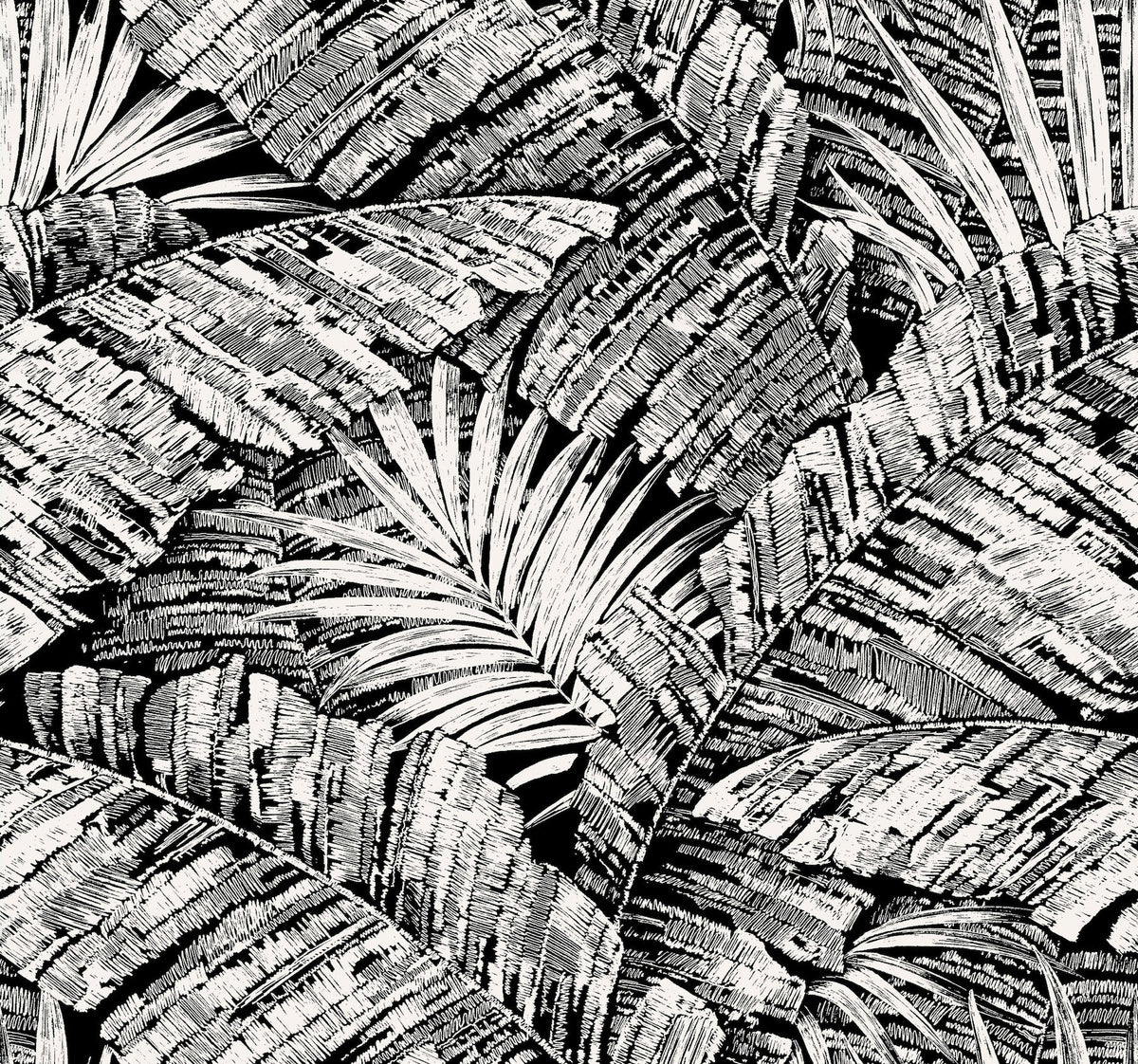Palm Cove Toile Wallpaper Wallpaper York Wallcoverings Double Roll White/Black 