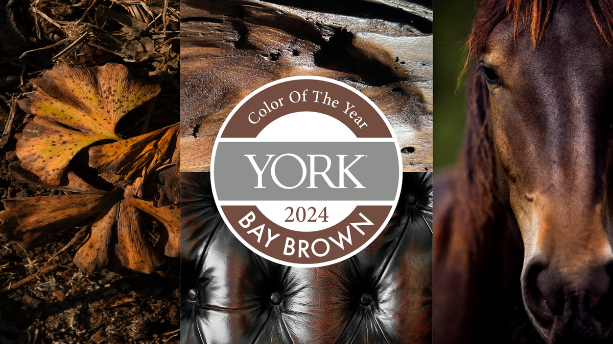 York's Color of the Year 2024