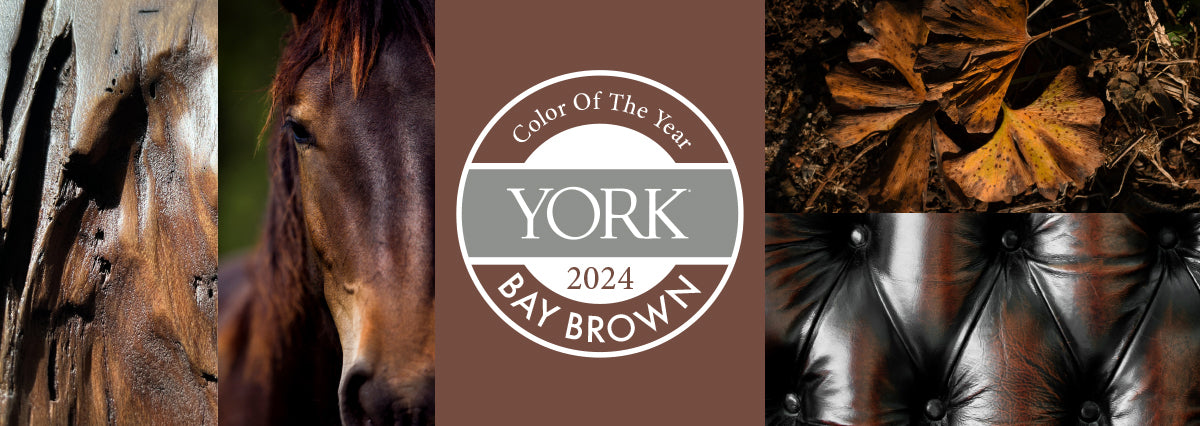 Color of the Year 2024- Bay Brown