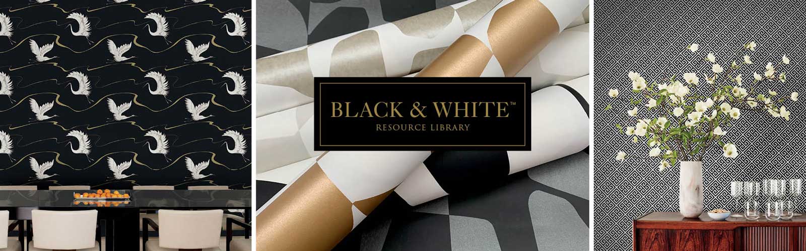 Black and White Resource Library