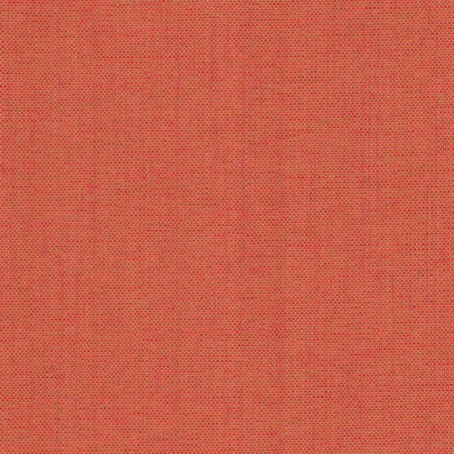 Hint Wallpaper