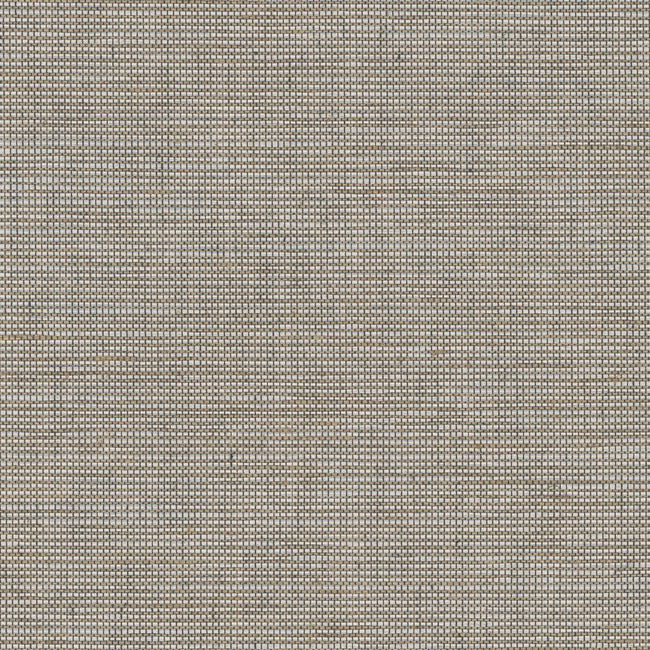 Cadence Wallpaper Textile Wallcovering QuietWall Yard Birchbark