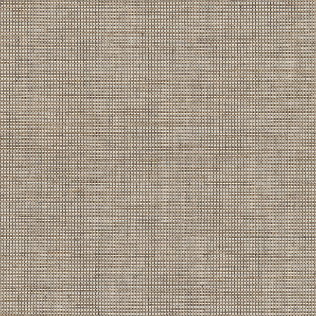 Cadence Wallpaper Textile Wallcovering QuietWall Yard Warm Walnut