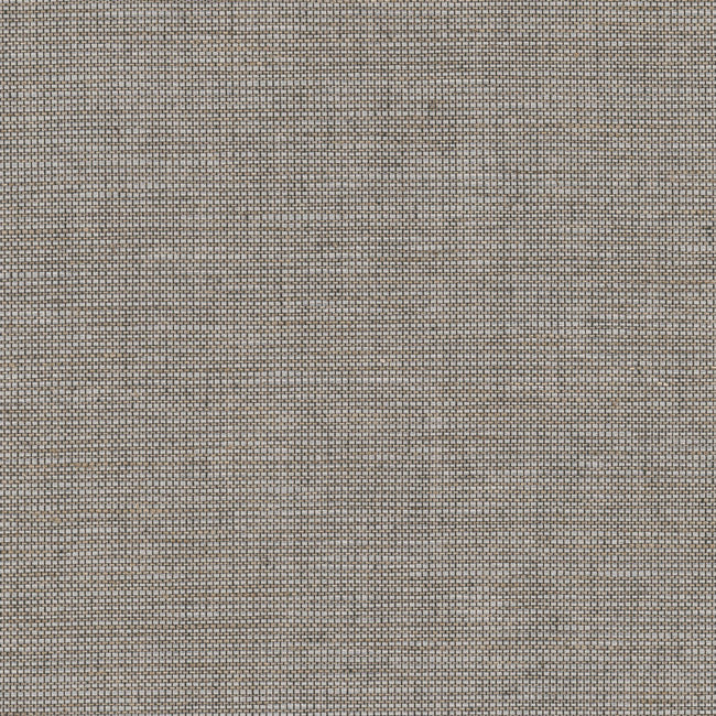 Cadence Wallpaper Textile Wallcovering QuietWall Yard Cypress