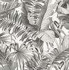 Alfresco Palm Leaf Wallpaper Wallpaper A-Street Prints Double Roll Black 