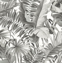 Alfresco Palm Leaf Wallpaper Wallpaper A-Street Prints Double Roll Black 