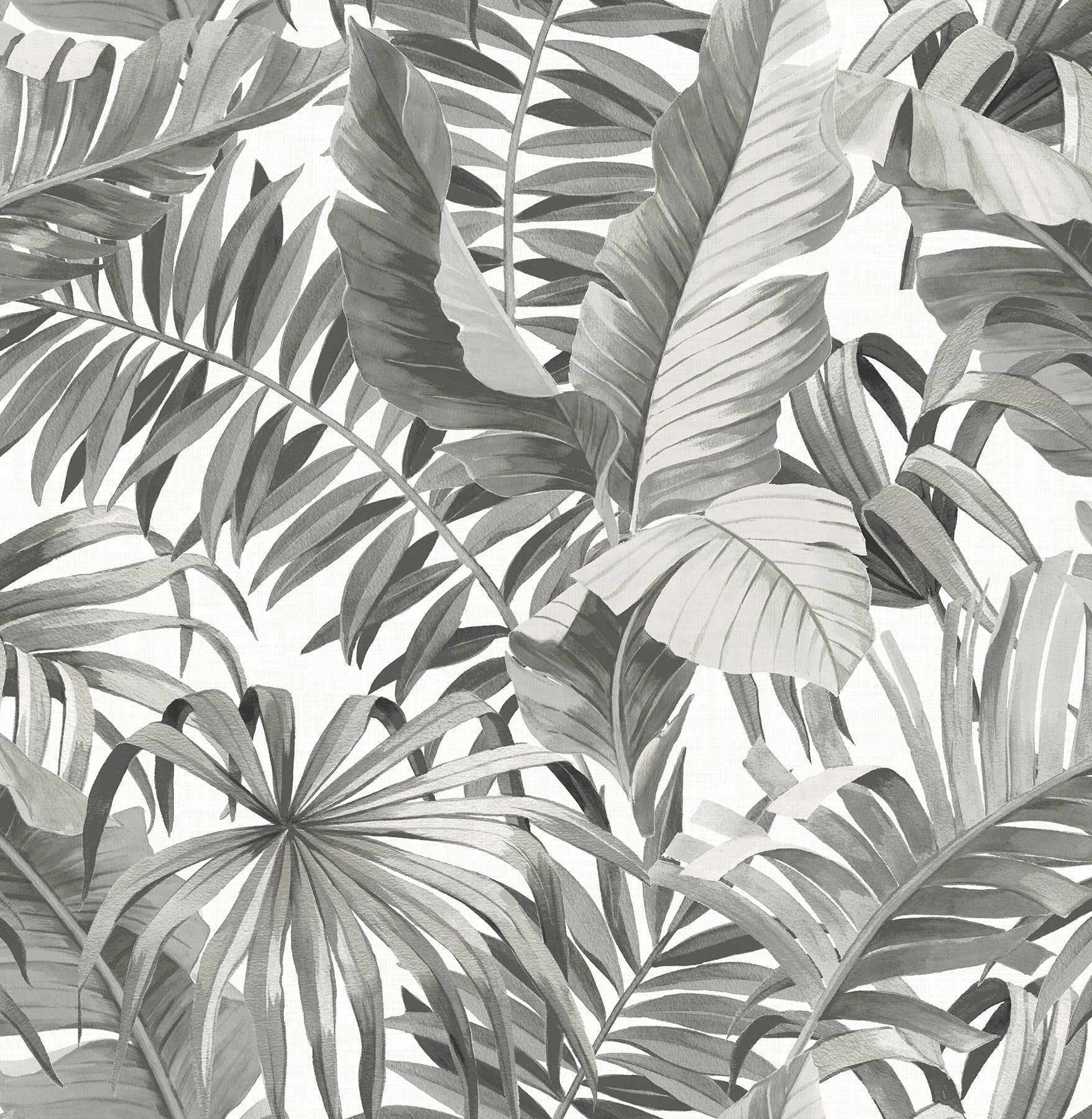Alfresco Palm Leaf Wallpaper Wallpaper A-Street Prints Double Roll Black 