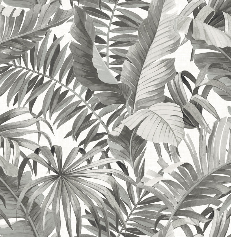 Alfresco Palm Leaf Wallpaper Wallpaper A-Street Prints Double Roll Black 