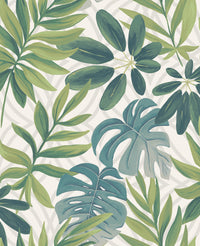 Nocturnum Leaf Wallpaper Wallpaper A-Street Prints Double Roll White 