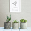 Agave Light Faux Grasscloth Wallpaper Wallpaper A-Street Prints   