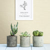 Agave Light Faux Grasscloth Wallpaper Wallpaper A-Street Prints   