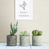 Agave Light Faux Grasscloth Wallpaper Wallpaper A-Street Prints   
