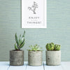 Agave Light Faux Grasscloth Wallpaper Wallpaper A-Street Prints   