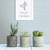 Agave Light Faux Grasscloth Wallpaper Wallpaper A-Street Prints   