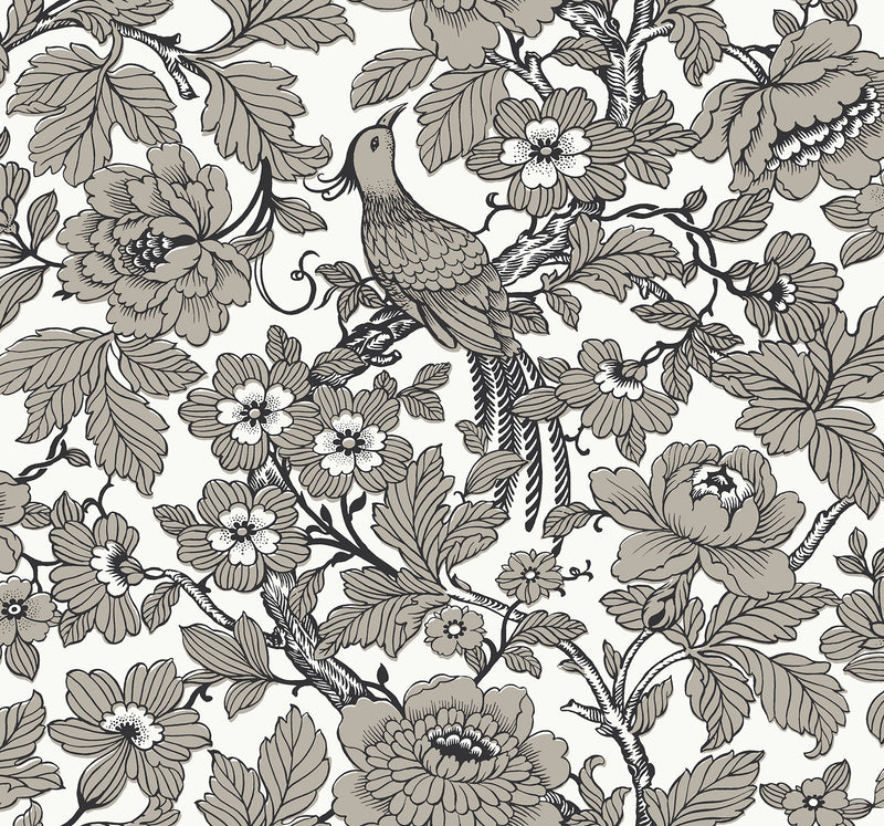 Beaufort Dove Peony Chinoiserie Wallpaper Wallpaper A-Street Prints Double Roll Black 