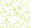 Southport Blush Delicate Branches Wallpaper Wallpaper A-Street Prints Double Roll Chartreuse 