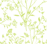 Southport Blush Delicate Branches Wallpaper Wallpaper A-Street Prints Double Roll Chartreuse 
