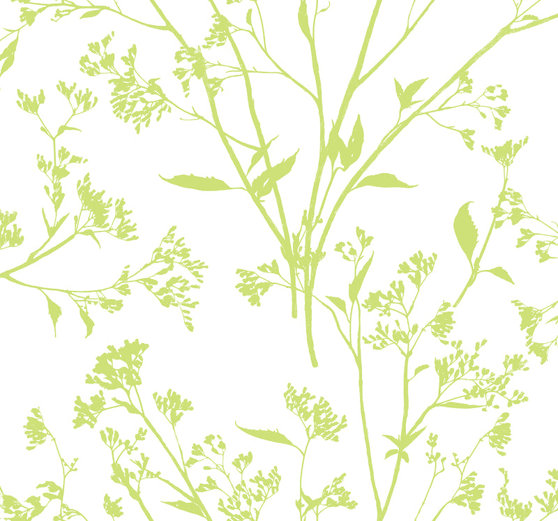 Southport Blush Delicate Branches Wallpaper Wallpaper A-Street Prints Double Roll Chartreuse 
