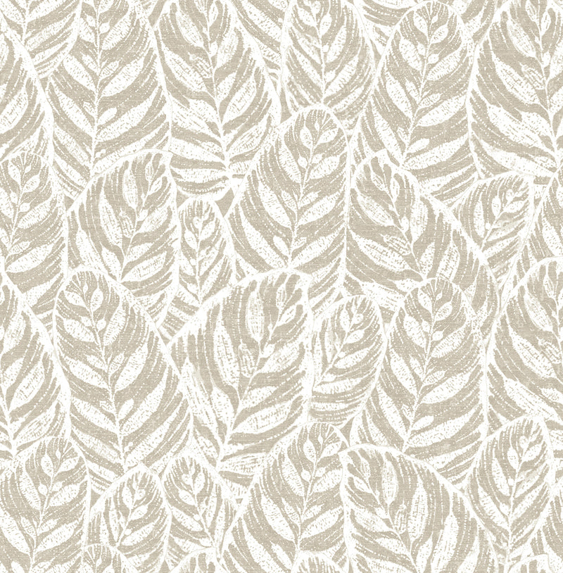 Del Mar Light Botanical Wallpaper Wallpaper A-Street Prints Double Roll Beige 