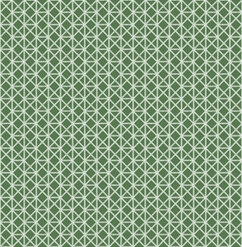 Lisbeth Wallpaper Wallpaper A-Street Prints Double Roll Green 