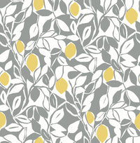 Blue/Loretto Wallpaper Wallpaper A-Street Prints Double Roll Grey 