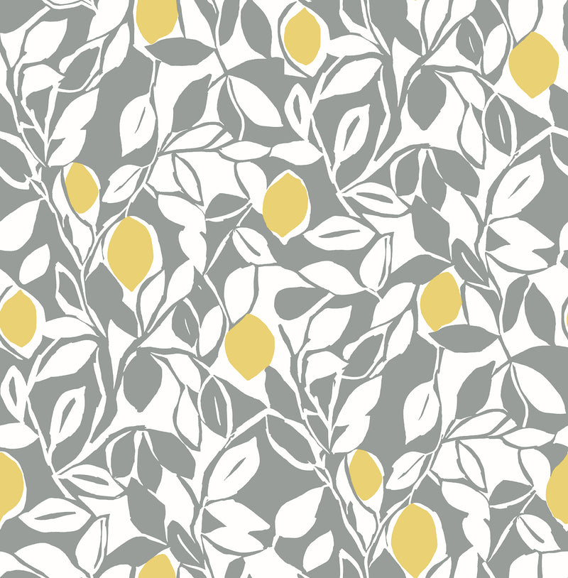 Blue/Loretto Wallpaper Wallpaper A-Street Prints Double Roll Grey 