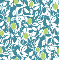 Blue/Loretto Wallpaper Wallpaper A-Street Prints Double Roll Teal 