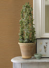 Aiko Sisal Grasscloth Wallpaper Wallpaper A-Street Prints   