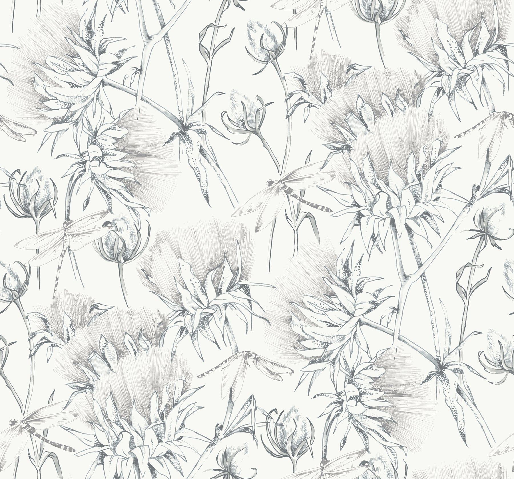 Mariell Dragonfly Wallpaper Wallpaper A-Street Prints Double Roll Grey 