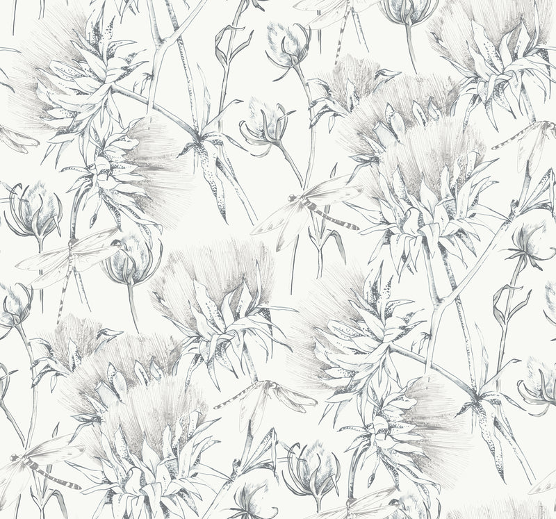 Mariell Dragonfly Wallpaper Wallpaper A-Street Prints Double Roll Grey 