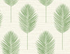 Bali Coral Fern Wallpaper Wallpaper A-Street Prints Double Roll Green 