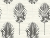 Bali Coral Fern Wallpaper Wallpaper A-Street Prints Double Roll Black 