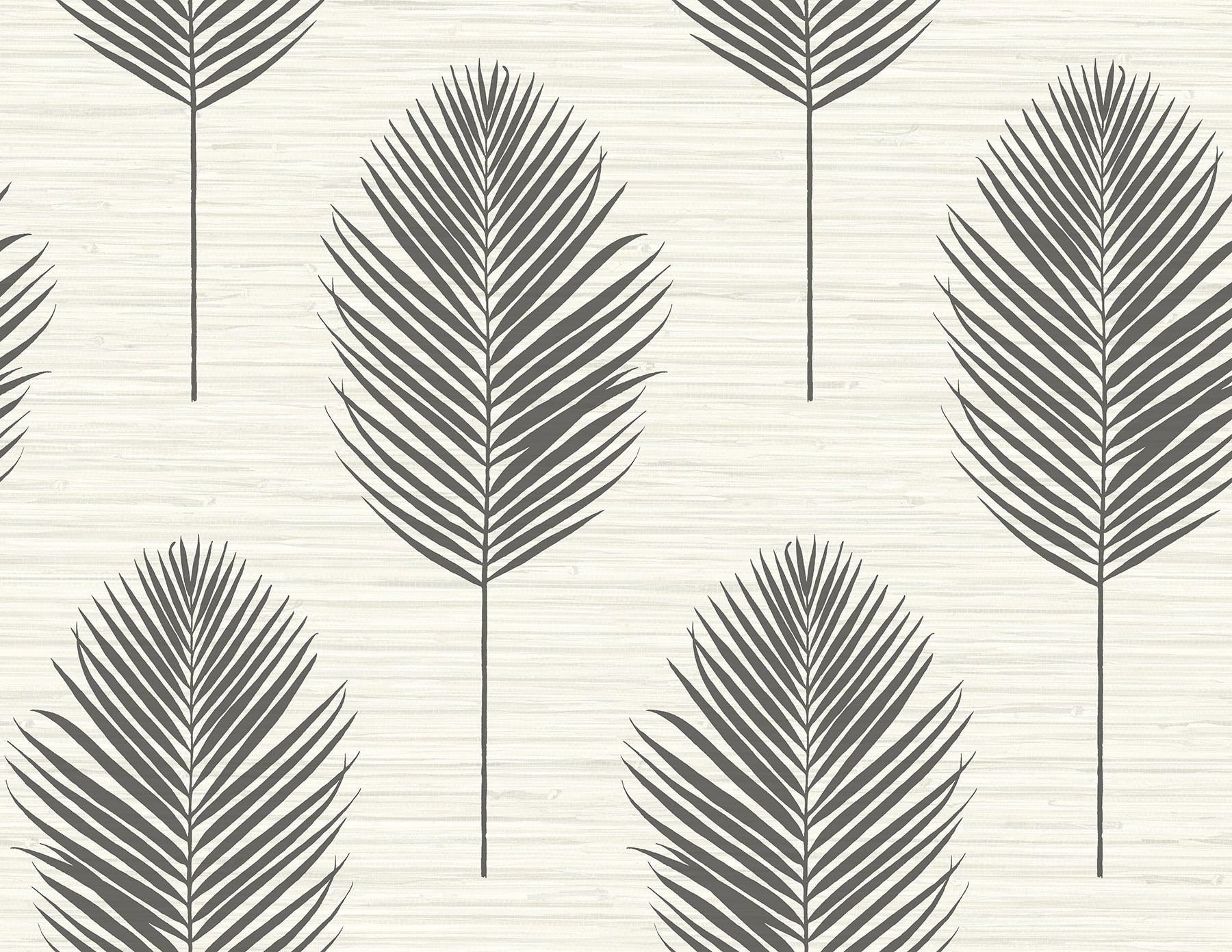 Bali Coral Fern Wallpaper Wallpaper A-Street Prints Double Roll Black 