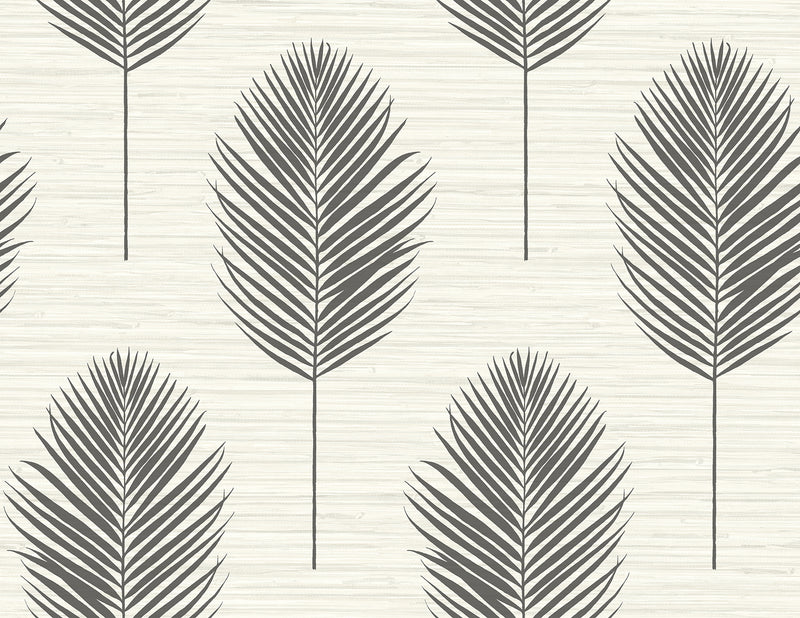 Bali Coral Fern Wallpaper Wallpaper A-Street Prints Double Roll Black 