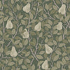 Pirum Pear Wallpaper Wallpaper A-Street Prints Double Roll Green 