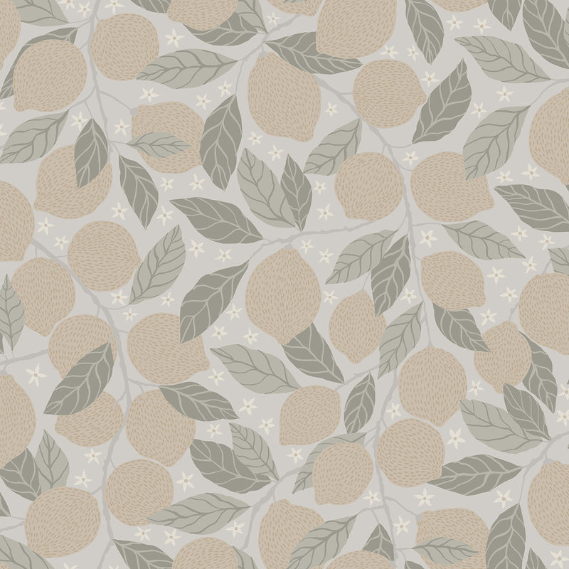 Lemona Fruit Tree Wallpaper Wallpaper A-Street Prints Double Roll Grey 