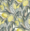 Meyer Chartreuse Citrus Wallpaper Wallpaper A-Street Prints Double Roll Chartreuse 