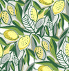 Meyer Chartreuse Citrus Wallpaper Wallpaper A-Street Prints Double Roll Yellow 