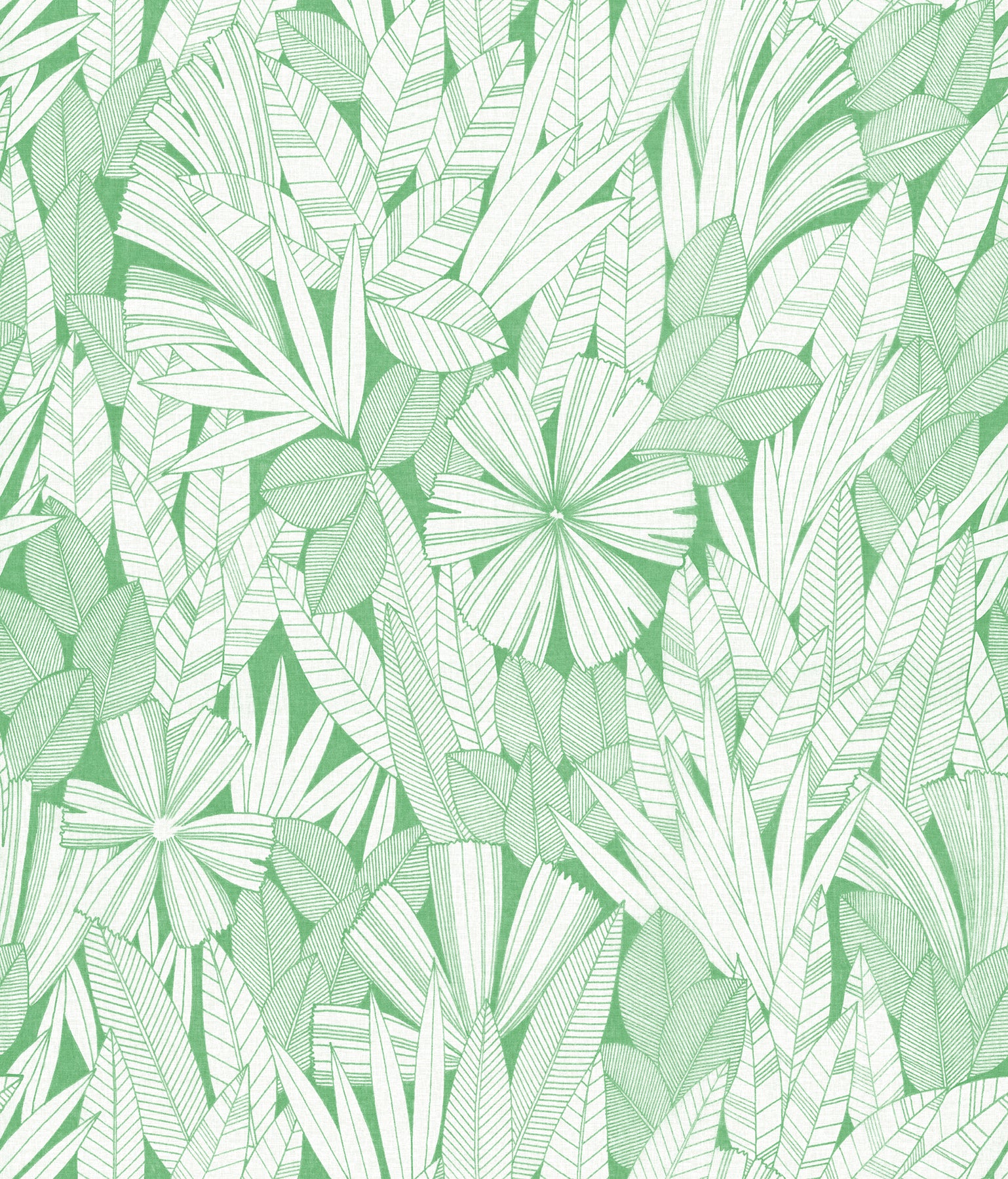 Bannon Leaves Wallpaper Wallpaper A-Street Prints Double Roll Green 