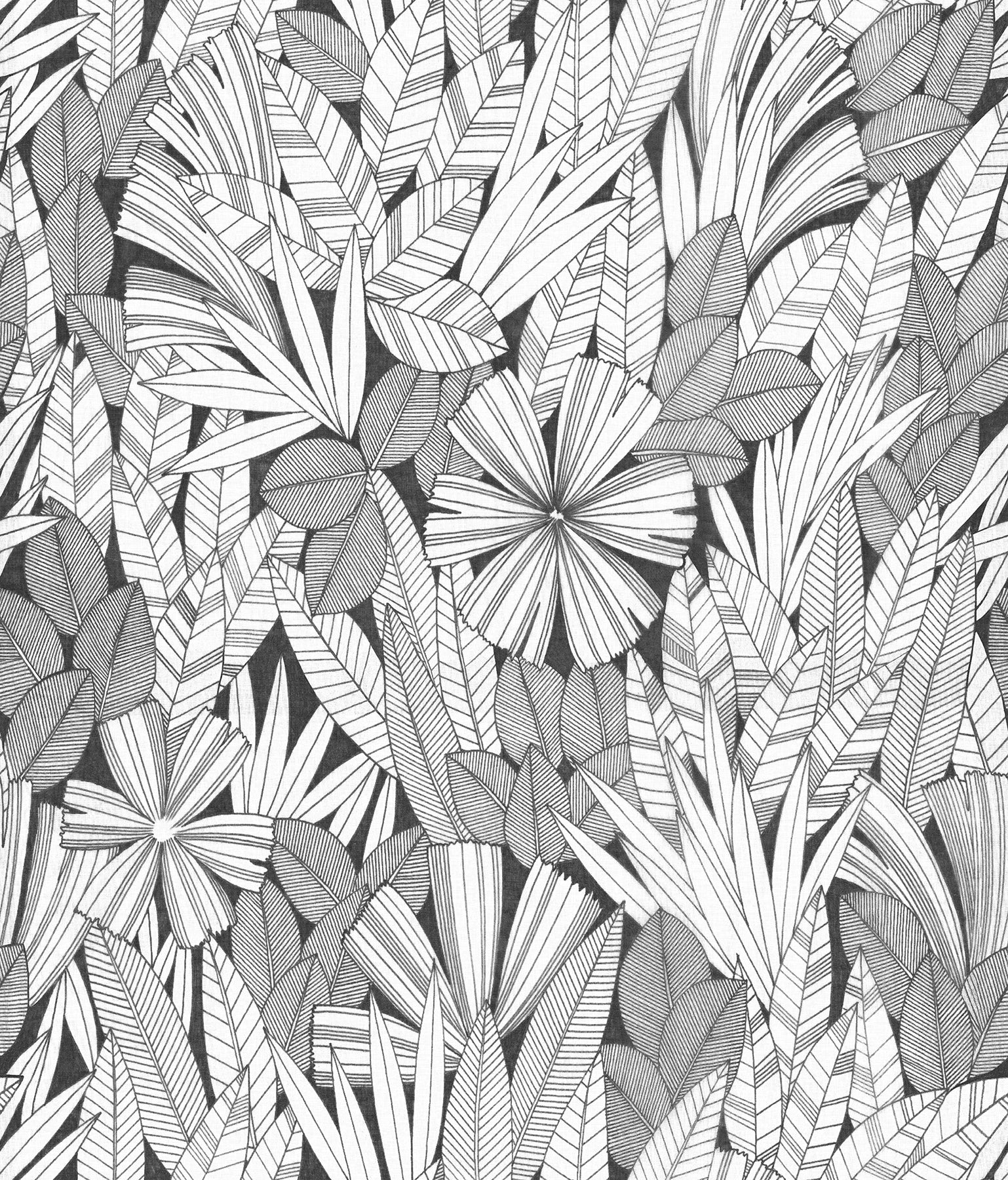 Bannon Leaves Wallpaper Wallpaper A-Street Prints Double Roll Black 