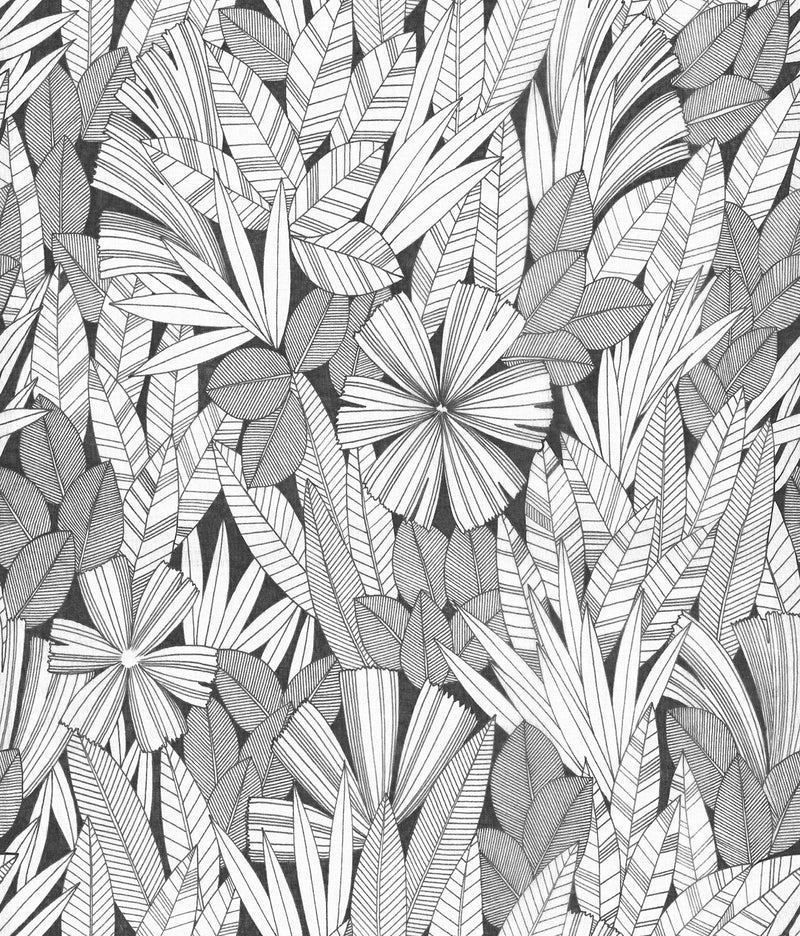 Bannon Leaves Wallpaper Wallpaper A-Street Prints Double Roll Black 