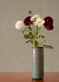 Cromie Beige Texture Wallpaper Wallpaper A-Street Prints   