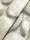 Root Rock Wallpaper Wallpaper Cheseapeake   