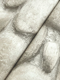 Root Rock Wallpaper Wallpaper Cheseapeake   
