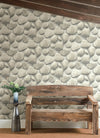 Root Rock Wallpaper Wallpaper Cheseapeake   