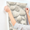 Root Rock Wallpaper Wallpaper Cheseapeake   