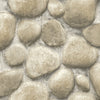 Root Rock Wallpaper Wallpaper Cheseapeake Double Roll Beige 