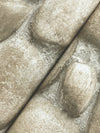 Root Rock Wallpaper Wallpaper Cheseapeake   