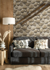 Root Rock Wallpaper Wallpaper Cheseapeake   